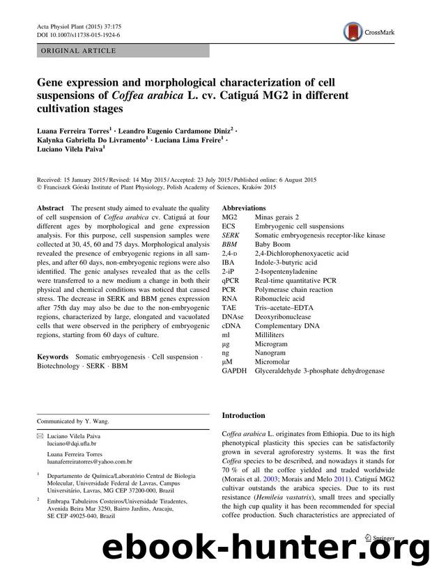Gene expression and morphological characterization of cell suspensions of Coffea arabica L. cv. CatiguÃ¡ MG2 in different cultivation stages by unknow