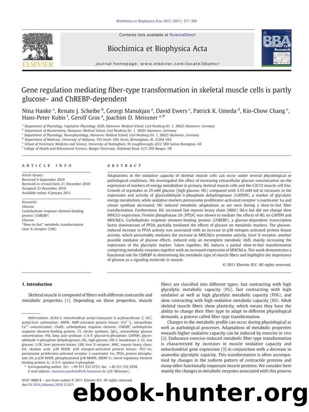 Gene regulation mediating fiber-type transformation in skeletal muscle cells is partly glucose- and ChREBP-dependent by unknow