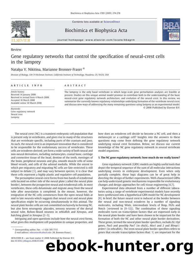 Gene regulatory networks that control the specification of neural-crest cells in the lamprey by Natalya V. Nikitina; Marianne Bronner-Fraser