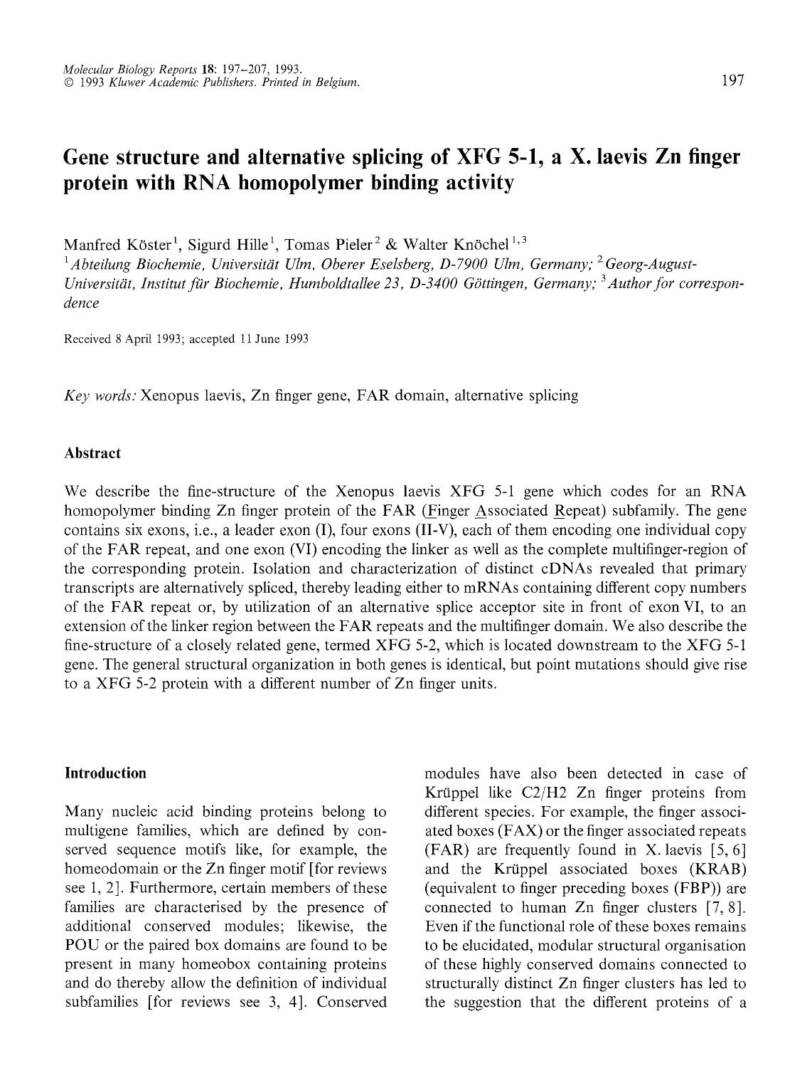 Gene structure and alternative splicing of XFG 5-1, a X. laevis Zn finger protein with RNA homopolymer binding activity by Unknown