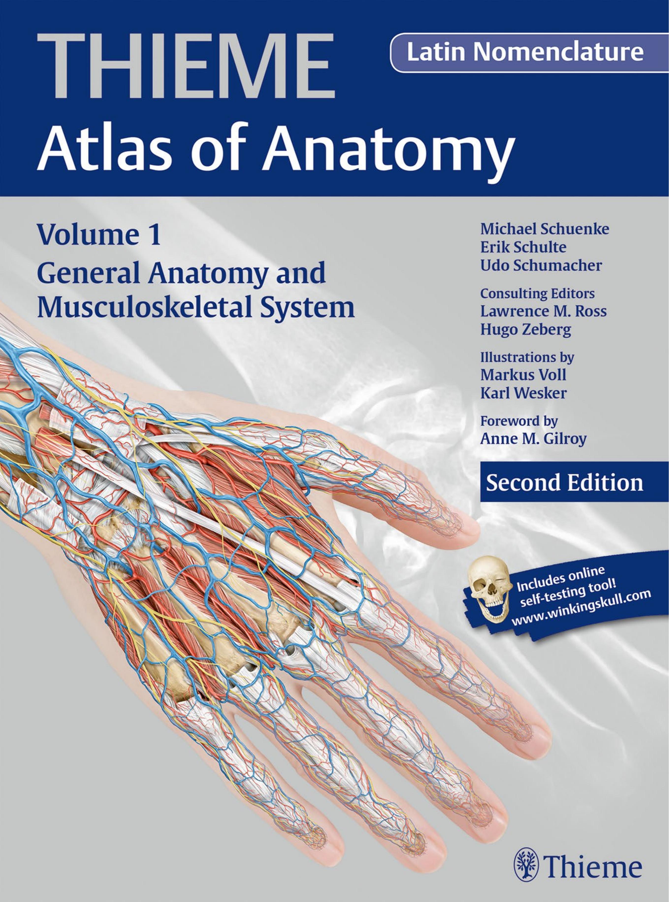 General Anatomy and Musculoskeletal System by Michael Schuenke Erik Schulte Udo Schumacher