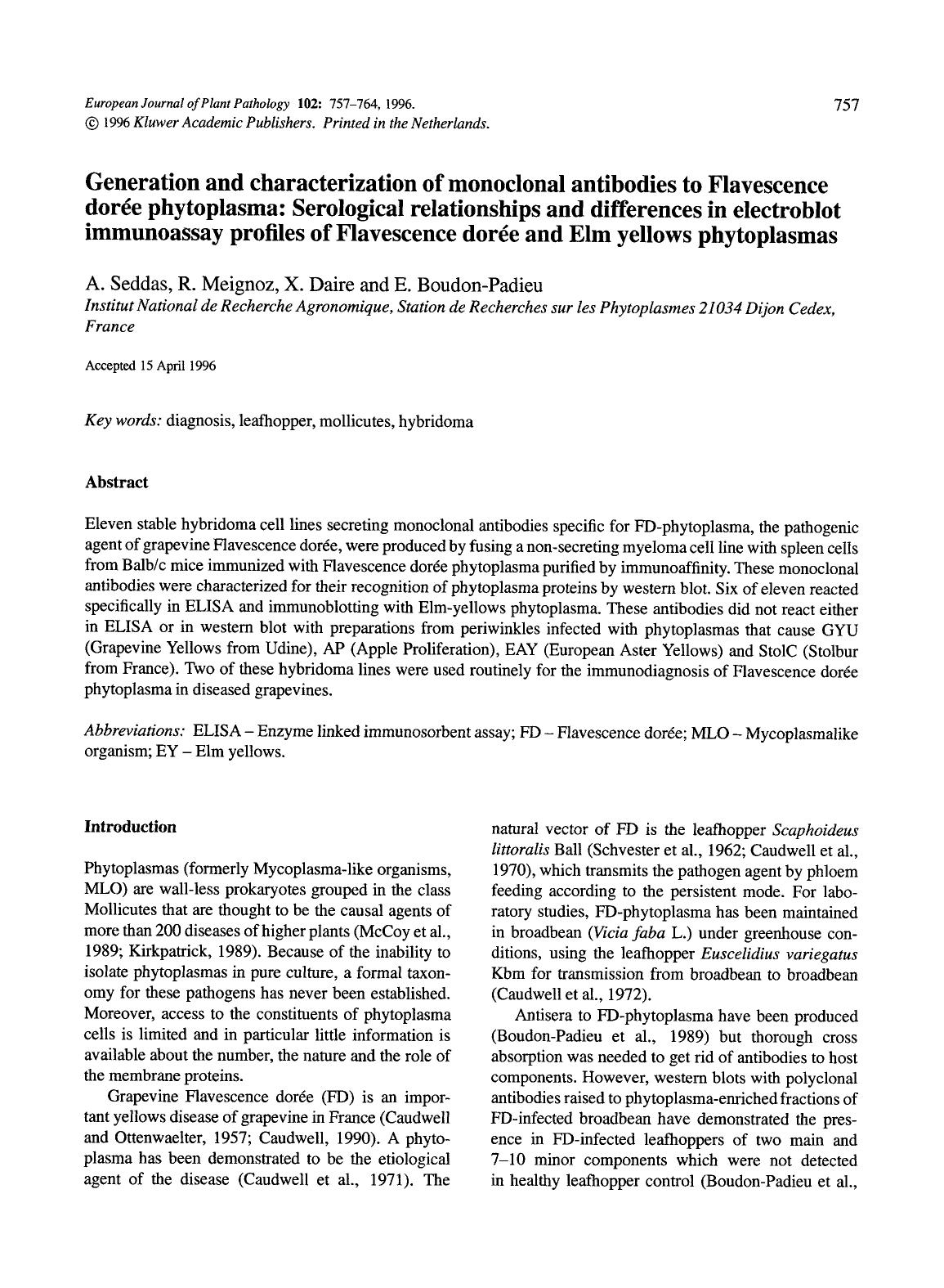 Generation and characterization of monoclonal antibodies to Flavescence dor&#x00E9;e phytoplasma: Serological relationships and differences in electroblot immunoassay profiles of F by Unknown