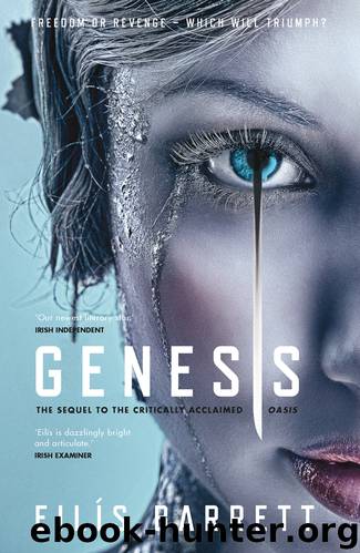 Genesis by Eilís Barrett