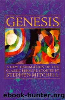 Genesis: A New Translation of the Classic Biblical Stories by Stephen Mitchell