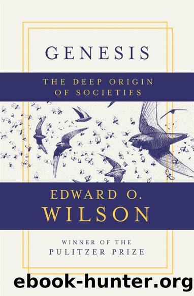Genesis: The Deep Origins of Societies by Edward O. Wilson