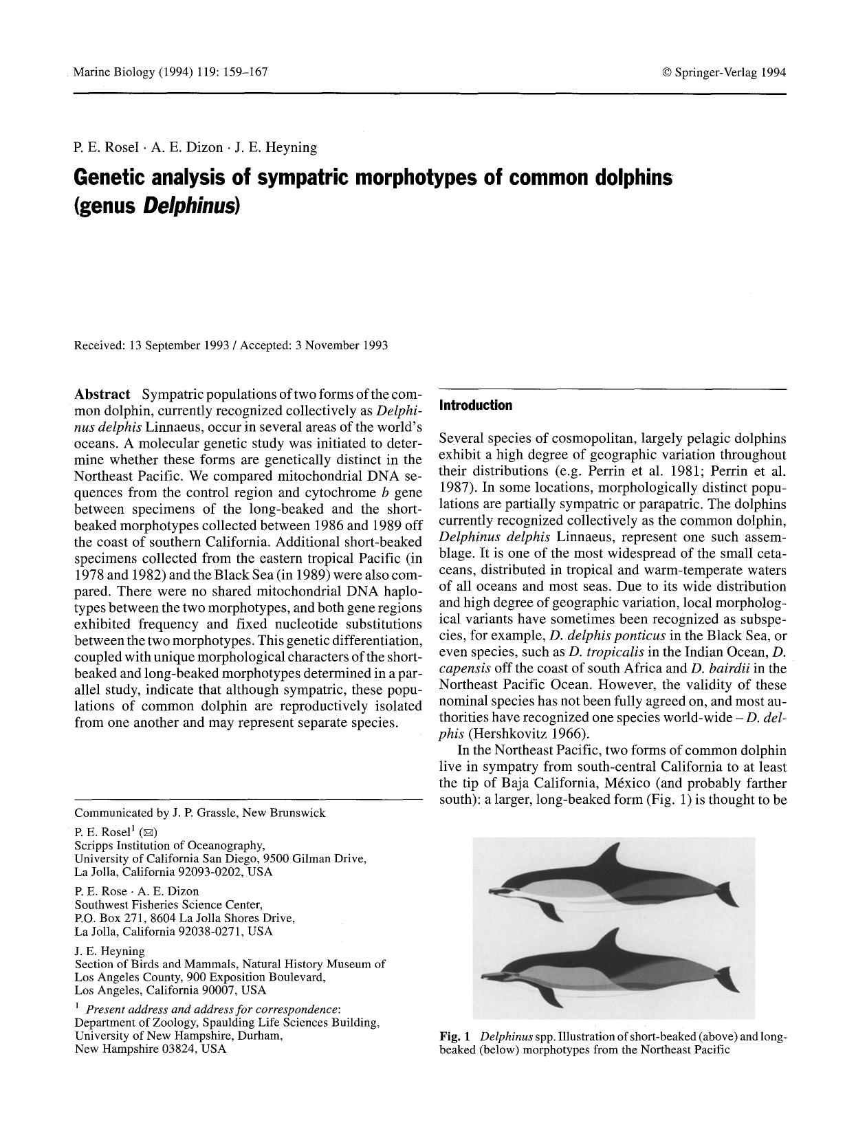 Genetic analysis of sympatric morphotypes of common dolphins (genus <Emphasis Type="Italic">Delphinus<Emphasis>) by Unknown