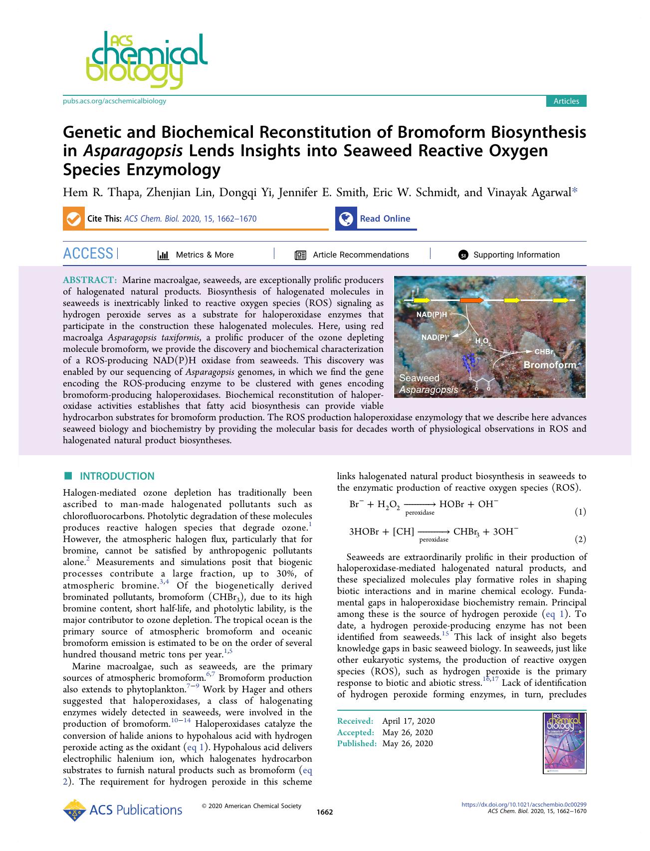 Genetic and Biochemical Reconstitution of Bromoform Biosynthesis in Asparagopsis Lends Insights into Seaweed Reactive Oxygen Species Enzymology by Hem R. Thapa Zhenjian Lin Dongqi Yi Jennifer E. Smith Eric W. Schmidt and Vinayak Agarwal