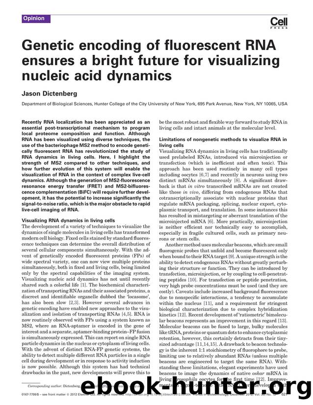 Genetic encoding of fluorescent RNA ensures a bright future for visualizing nucleic acid dynamics by Jason Dictenberg