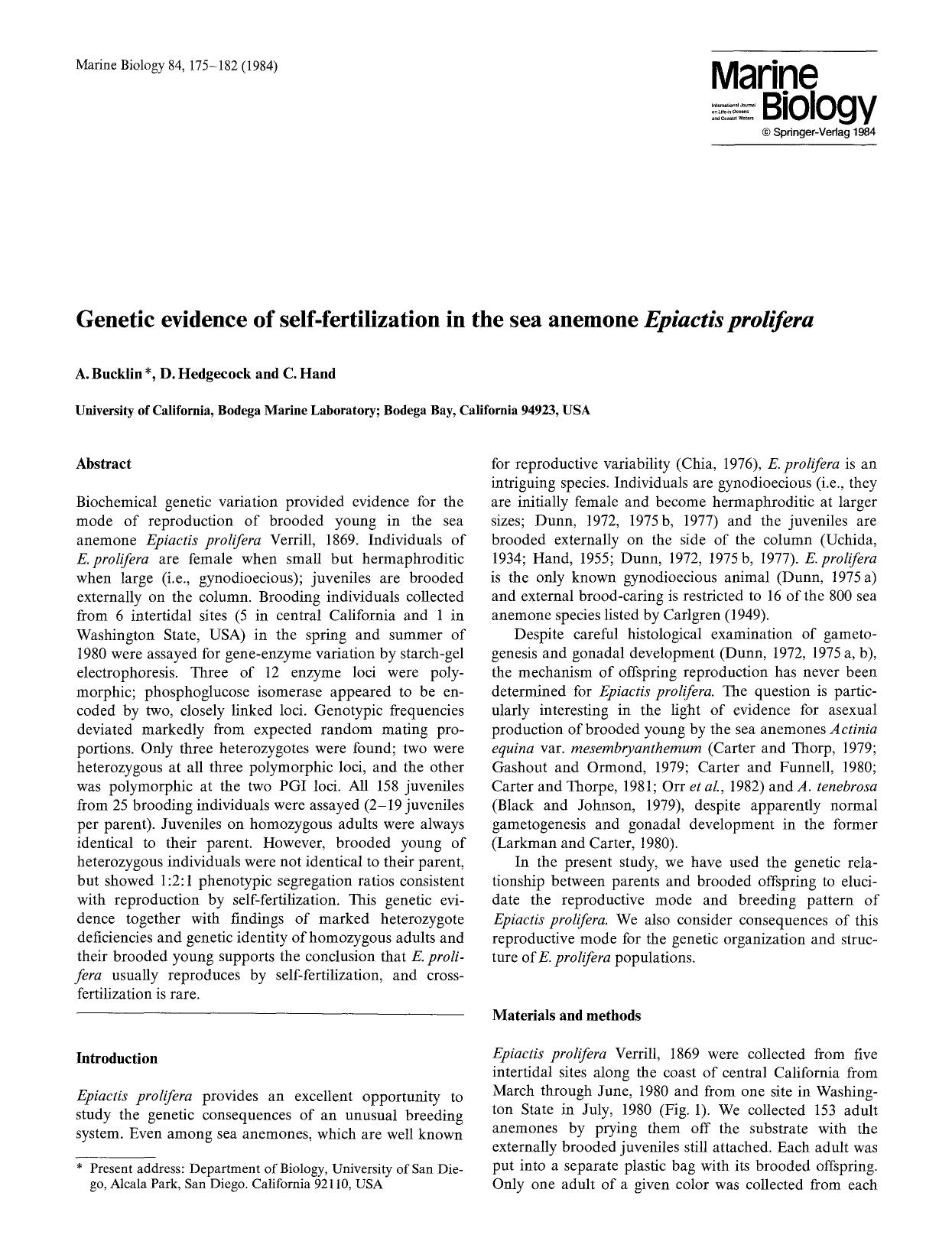 Genetic evidence of self-fertilization in the sea anemone <Emphasis Type="Italic">Epiactis prolifera<Emphasis> by Unknown