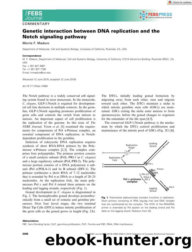 Genetic interaction between DNA replication and the Notch signaling pathway by Unknown