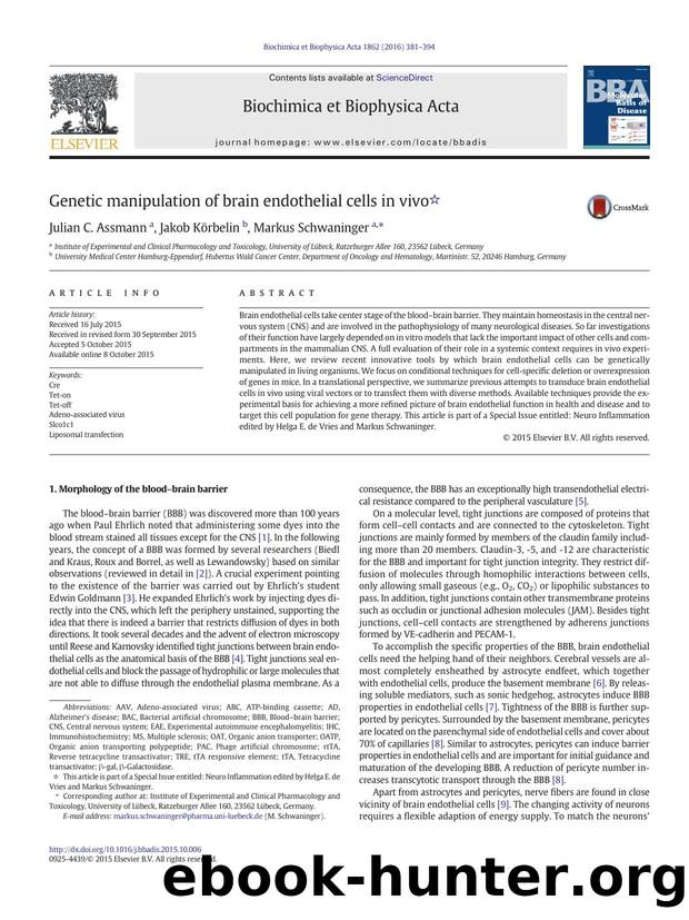 Genetic manipulation of brain endothelial cells in vivo by Julian C. Assmann & Jakob Körbelin & Markus Schwaninger