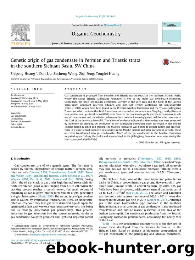 Genetic origin of gas condensate in Permian and Triassic strata in the southern Sichuan Basin, SW China by Shipeng Huang & Dan Liu & Zecheng Wang & Ziqi Feng & Tongfei Huang