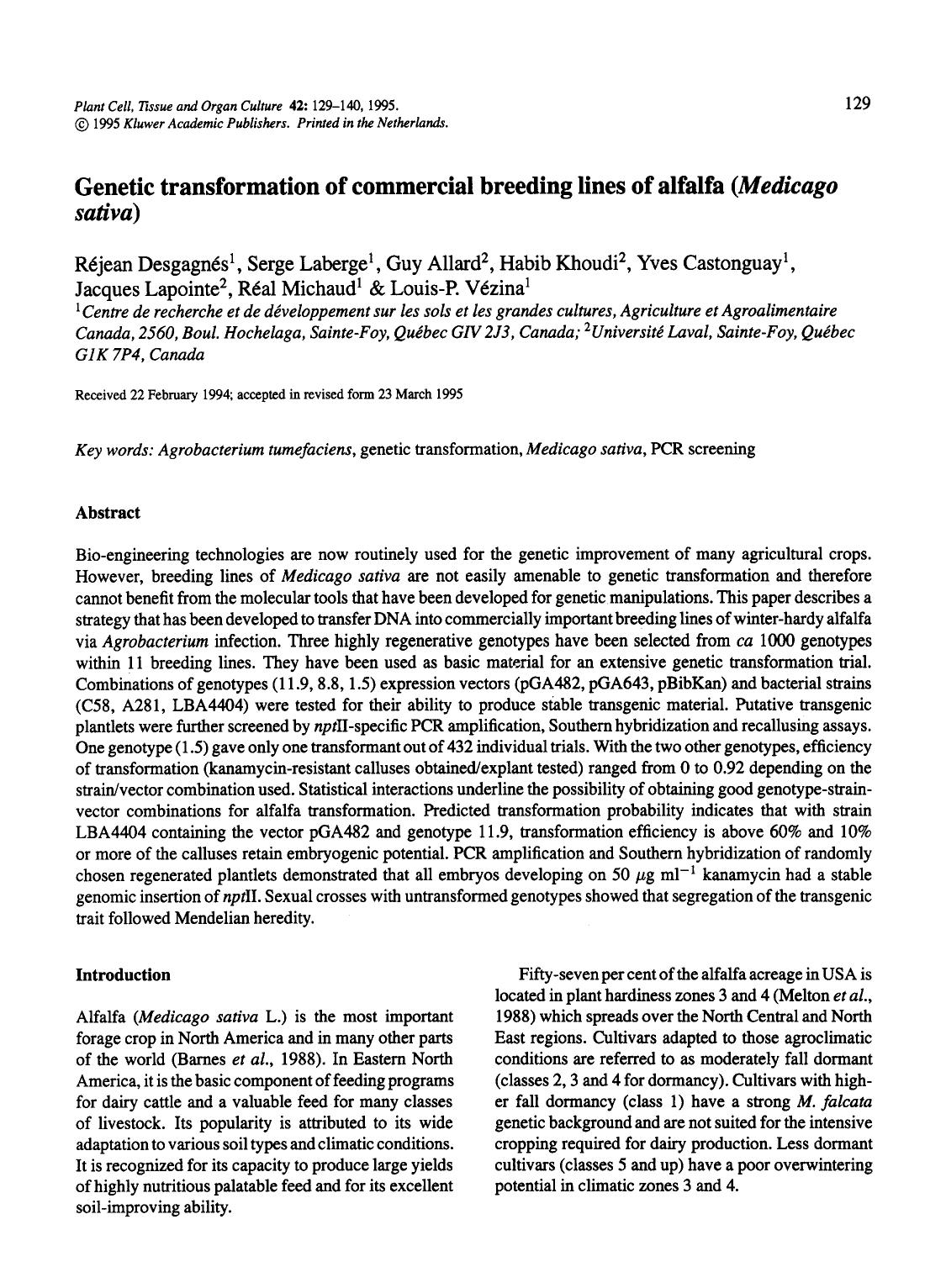 Genetic transformation of commercial breeding lines of alfalfa (<Emphasis Type="Italic">Medicago sativa<Emphasis>) by Unknown
