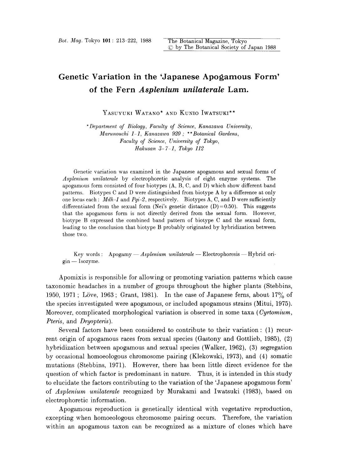 Genetic variation in the &#x2018;Japanese apogamous form&#x2019; of the fern <Emphasis Type="Italic">Asplenium unilaterale <Emphasis> Lam. by Unknown