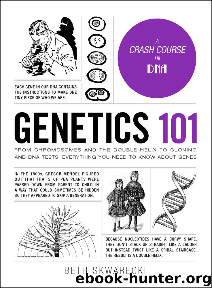 Genetics 101 by Beth Skwarecki