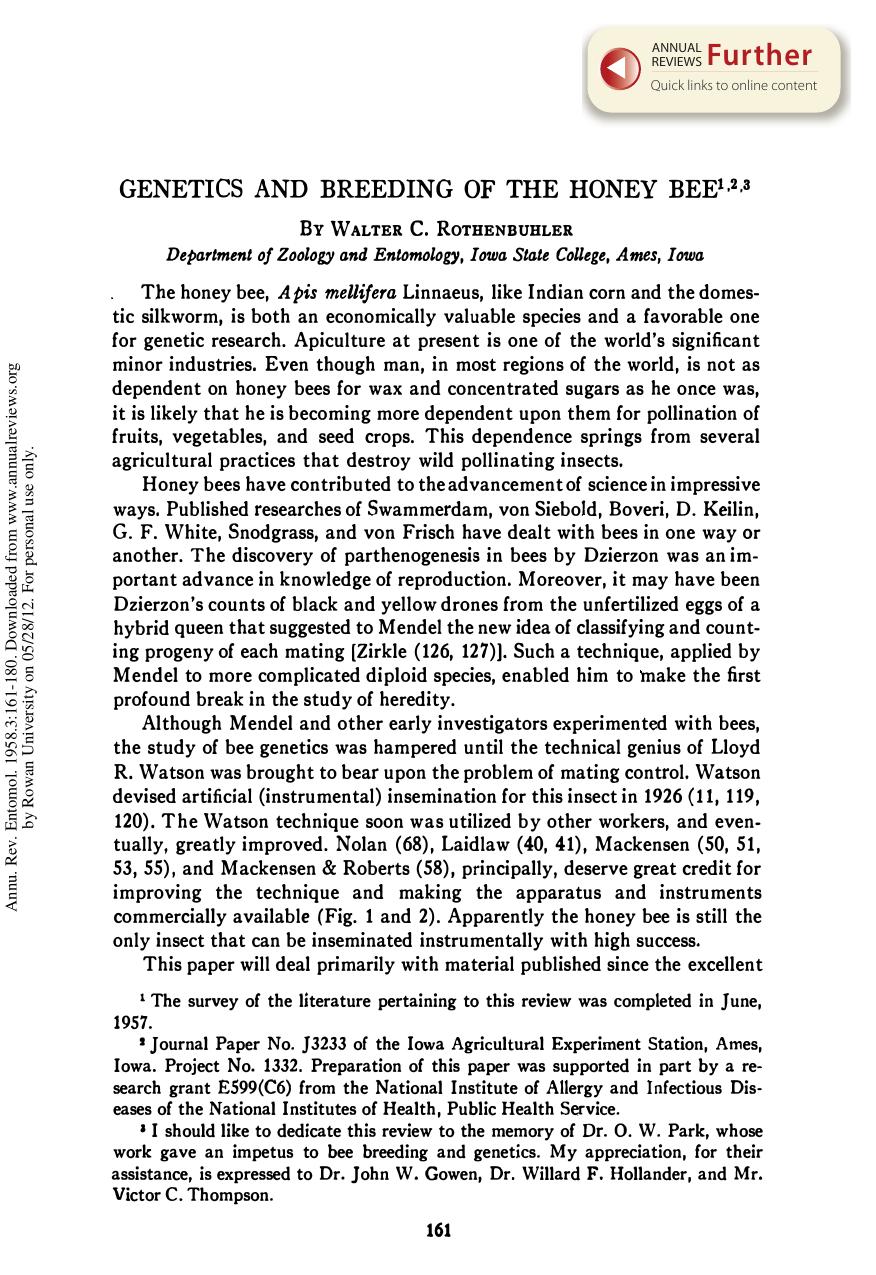 Genetics and Breeding of the Honey Bee by W C Rothenbuhler