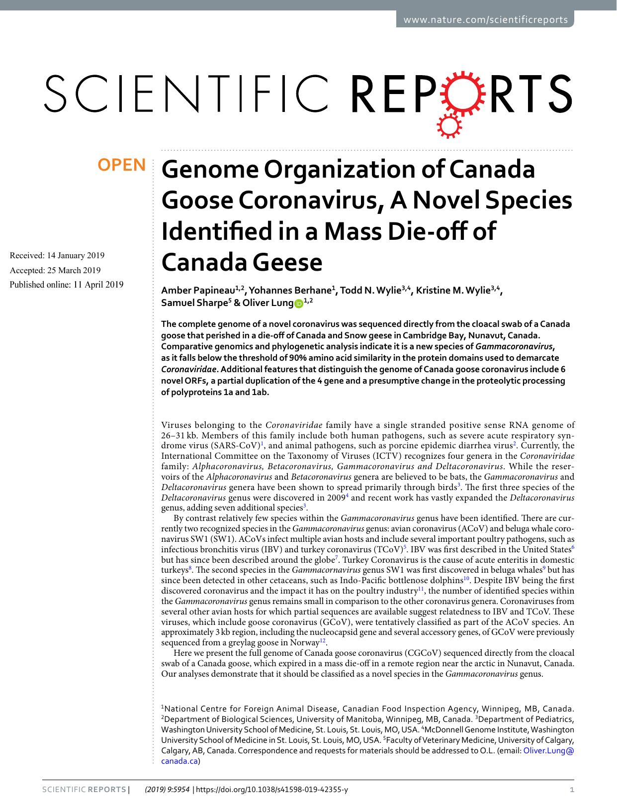 Genome Organization of Canada Goose Coronavirus, A Novel Species Identified in a Mass Die-off of Canada Geese by Amber Papineau & Yohannes Berhane & Todd N. Wylie & Kristine M. Wylie & Samuel Sharpe & Oliver Lung