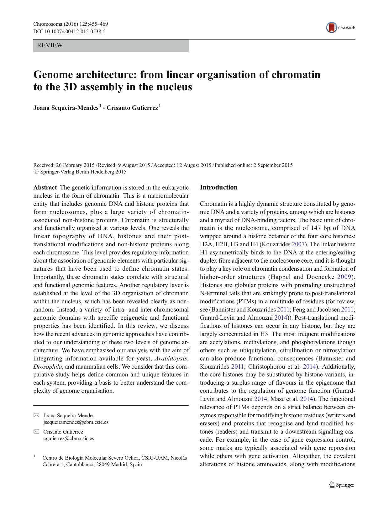 Genome architecture: from linear organisation of chromatin to the 3D assembly in the nucleus by Joana Sequeira-Mendes & Crisanto Gutierrez
