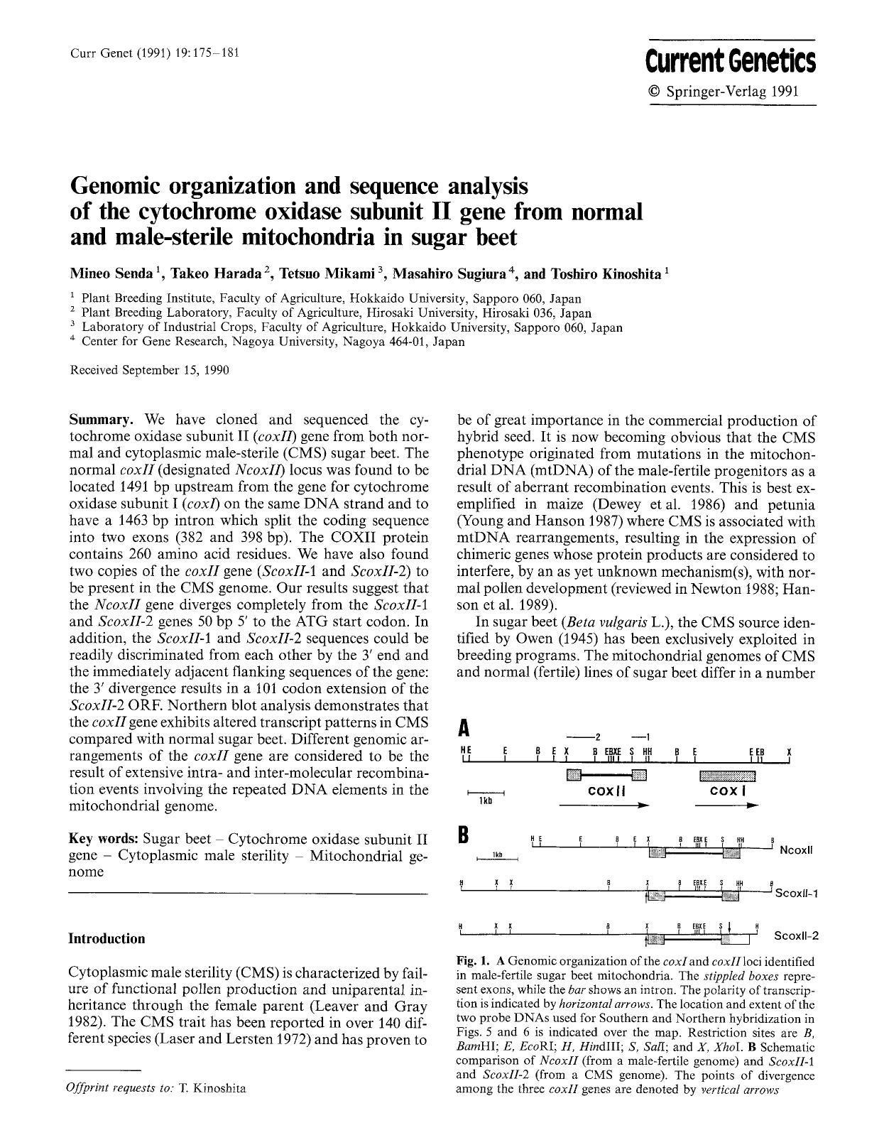 Genomic organization and sequence analysis of the cytochrome oxidase subunit II gene from normal and male-sterile mitochondria in sugar beet by Unknown