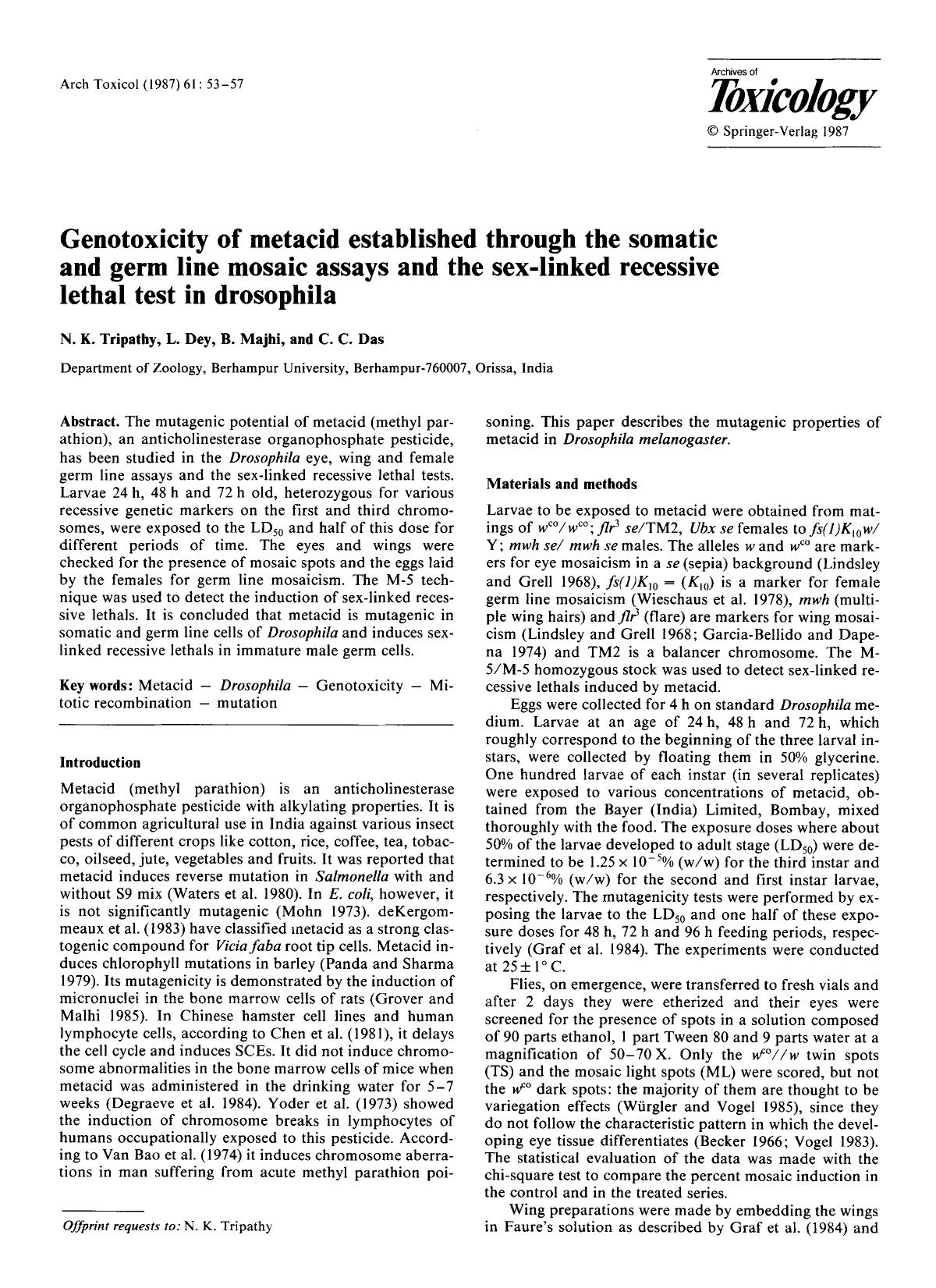 Genotoxicity of metacid established through the somatic and germ line mosaic assays and the sex-linked recessive lethal test in drosophila by Unknown