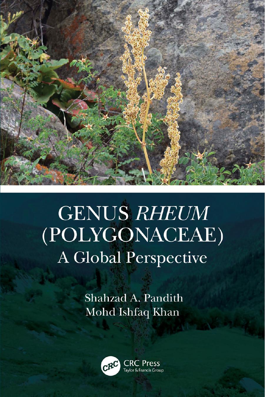 Genus Rheum (Polygonaceae): A Global Perspective by Shahzad A. Pandith Mohd. Ishfaq Khan Salika Ramazan