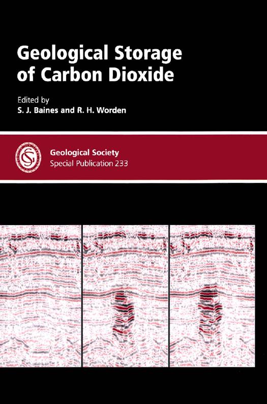 Geological Storage of Carbon Dioxide (Geological Society of London Special Publication No. 233) by Baines Worden