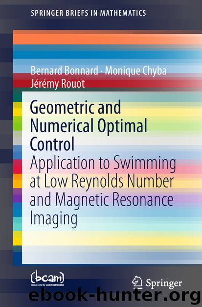 Geometric and Numerical Optimal Control by Bernard Bonnard & Monique Chyba & Jérémy Rouot