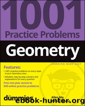 Geometry by Allen Ma & Amber Kuang