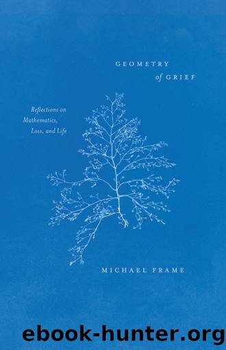 Geometry of Grief by Michael Frame
