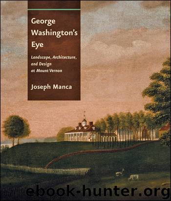 George Washington's Eye by Joseph Manca