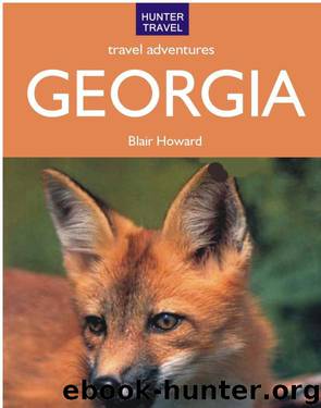Georgia Travel Adventures by Blair Howard