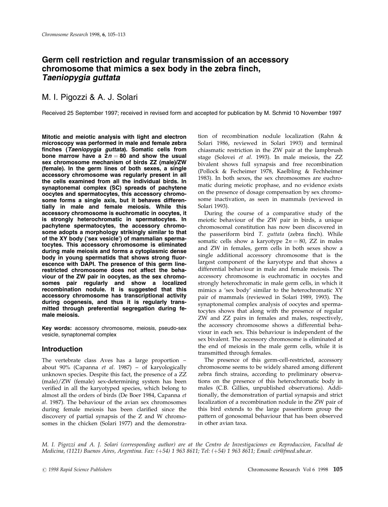 Germ cell restriction and regular transmission of an accessory chromosome that mimics a sex body in the zebra finch, Taeniopygia guttata by Unknown