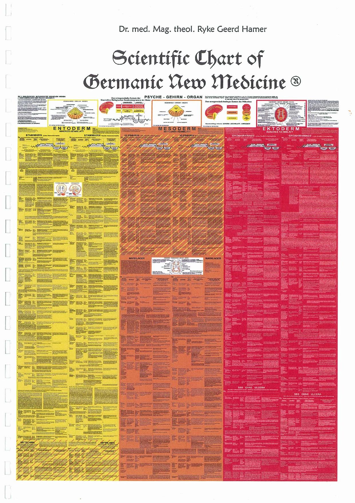German New Medicine - Scientific Chart PDF - Correlations between the three embryonic germ layers and Significant Biological Special Programs (SBS) of Nature on the three levels PS by Dr Ryke Geerd Hamer Caroline Markolin PhD