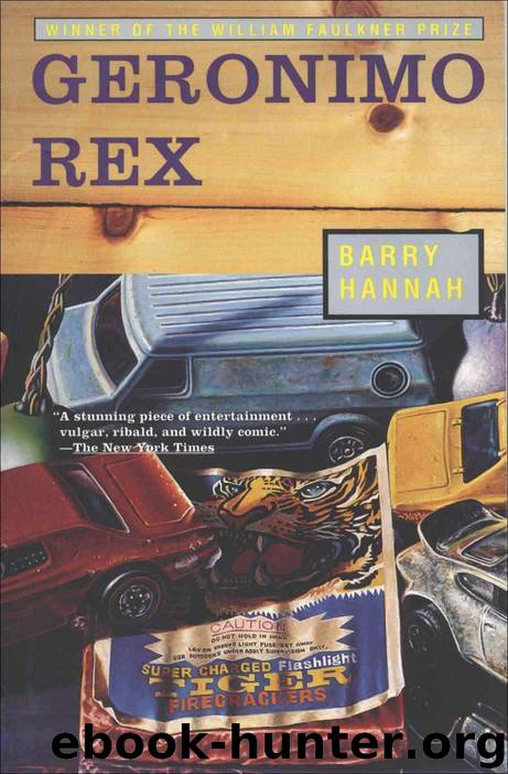 Geronimo Rex by Barry Hannah