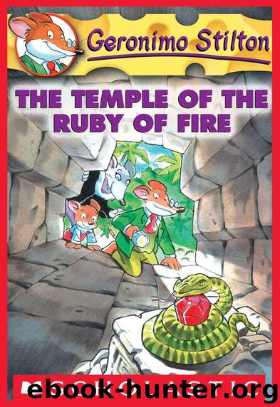 Geronimo Stilton #14: The Temple of the Ruby of Fire by Geronimo Stilton