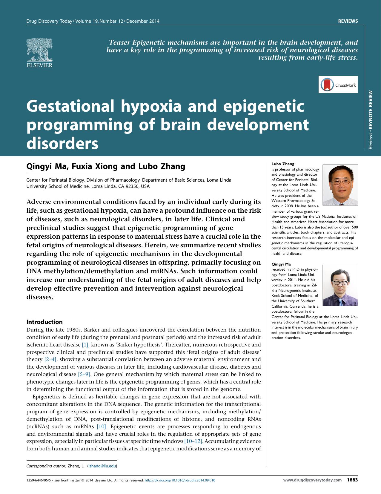 Gestational hypoxia and epigenetic programming of brain development disorders by Qingyi Ma & Fuxia Xiong & Lubo Zhang
