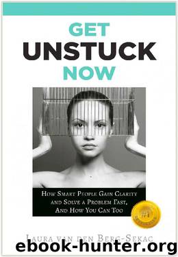 Get Unstuck Now: How Smart People Gain Clarity and Solve a Problem Fast, And How You Can Too by Laura van den Berg Sekac