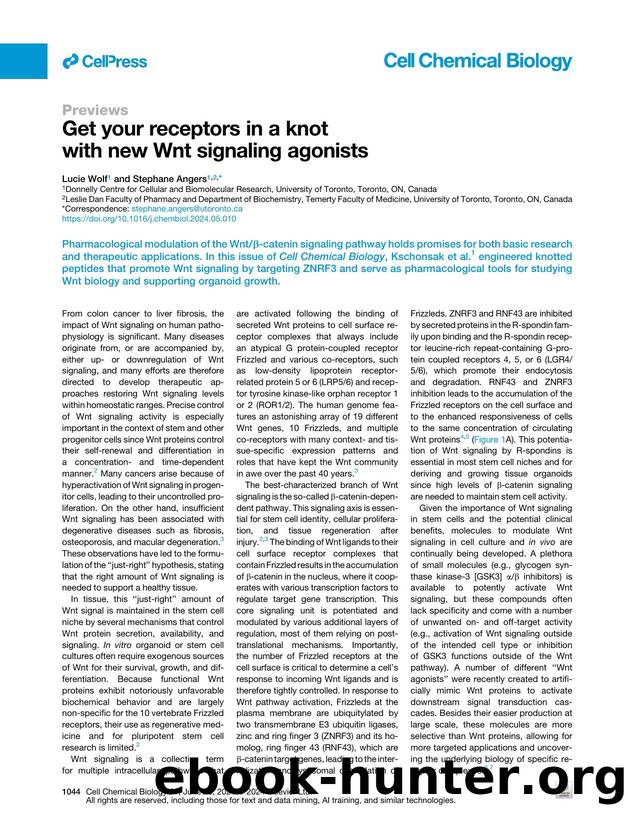 Get your receptors in a knot with new Wnt signaling agonists by Lucie Wolf & Stephane Angers