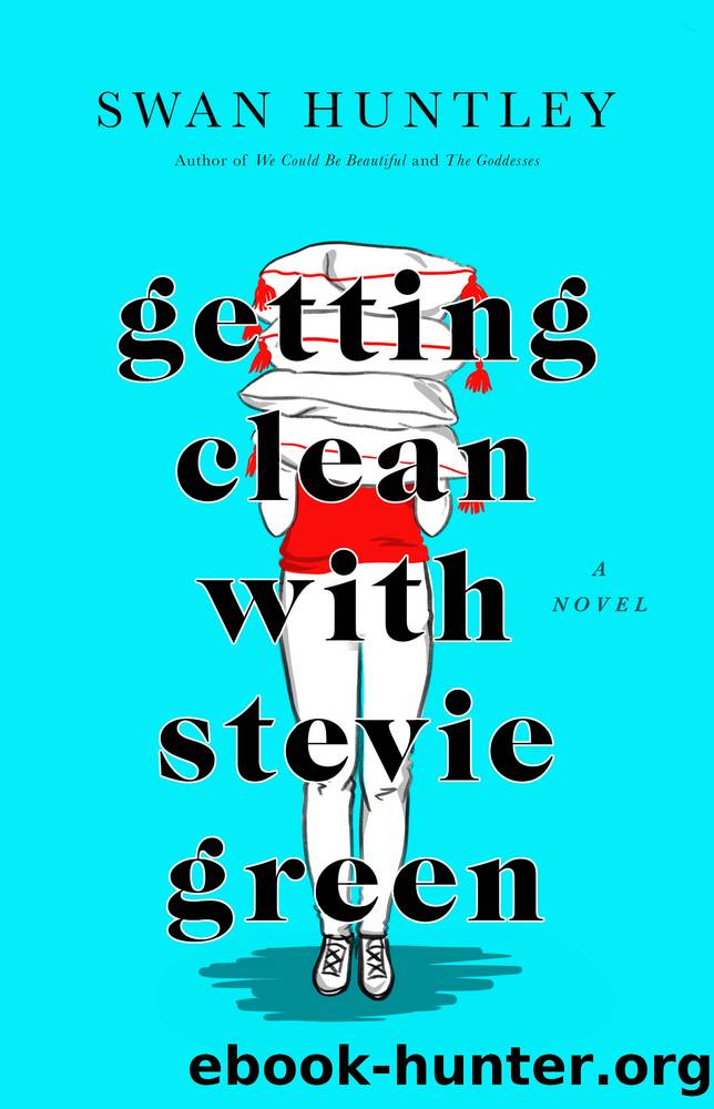 Getting Clean With Stevie Green by Swan Huntley