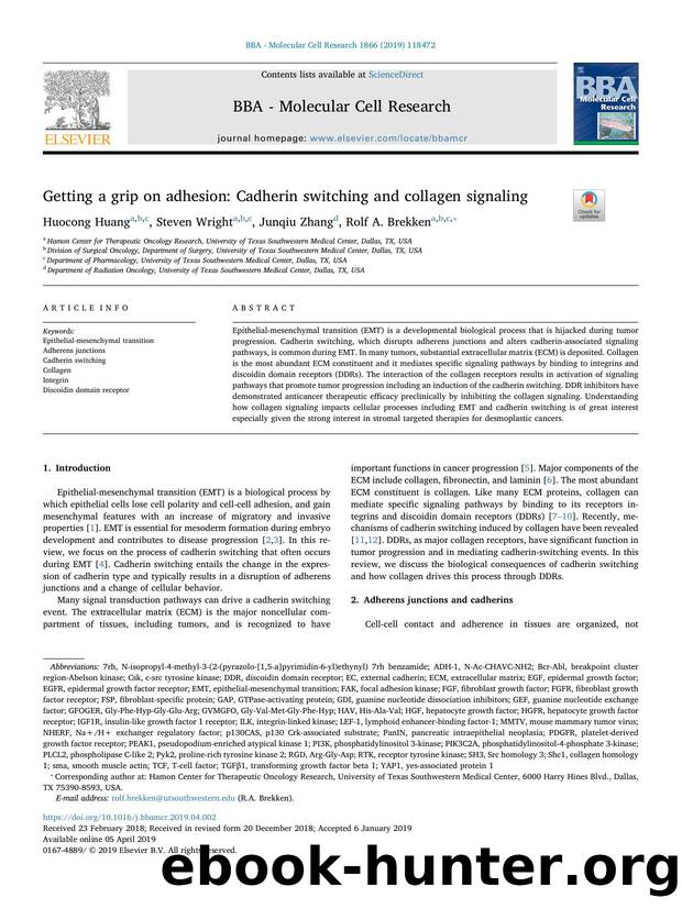 Getting a grip on adhesion_ Cadherin switching and collagen signaling by Huocong Huang & Steven Wright & Junqiu Zhang & Rolf A. Brekken