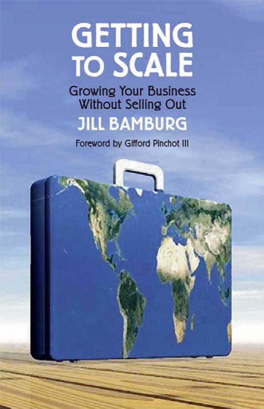 Getting to Scale: Growing Your Business Without Selling Out by Jill Bamburg