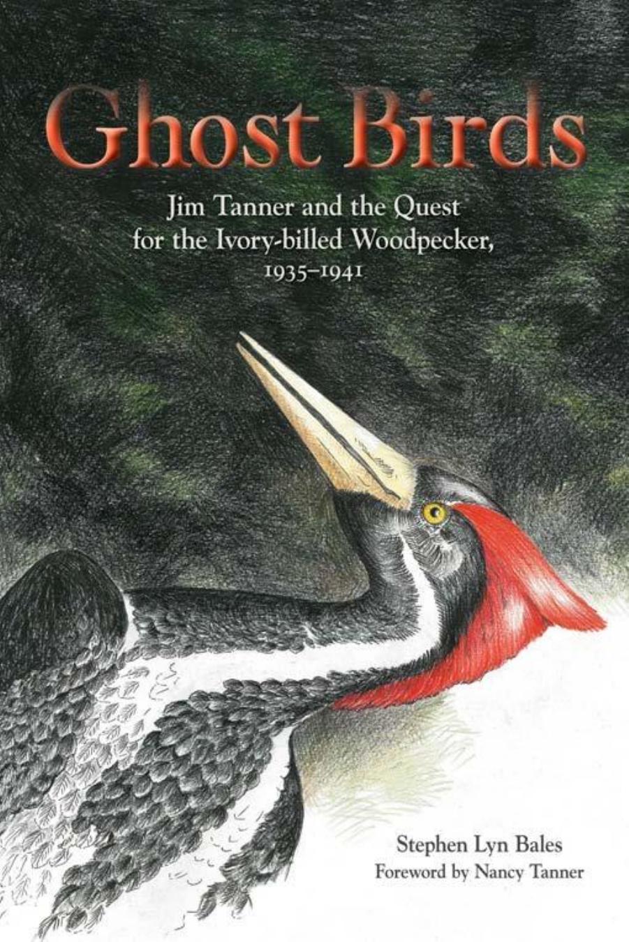 Ghost Birds : Jim Tanner and the Quest for the Ivory-Billed Woodpecker, 1935-1941 by Stephen Lyn Bales; Nancy Tanner