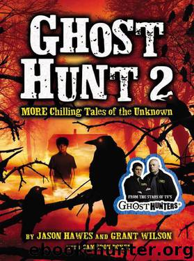Ghost Hunt 2: MORE Chilling Tales of the Unknown by Hawes Jason & Wilson Grant