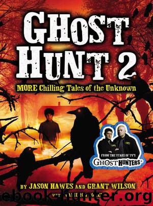 Ghost Hunt 2: MORE Chilling Tales of the Unknown by Jason Hawes & Grant Wilson