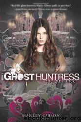 Ghost Huntress Book 2: The Guidance by Marley Gibson