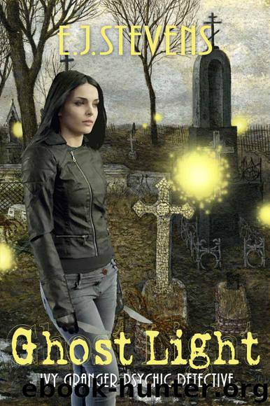 Ghost Light by Stevens E. J