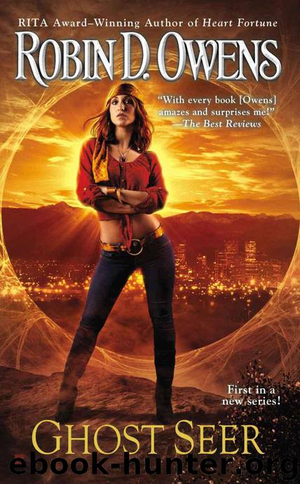 Ghost Seer (The Ghost Seer Series) by Owens Robin D