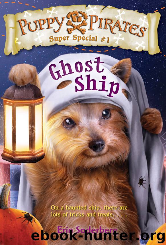 Ghost Ship by Erin Soderberg
