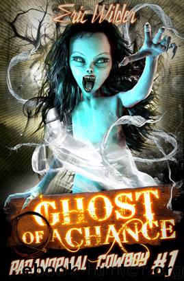 Ghost of a Chance by Eric Wilder
