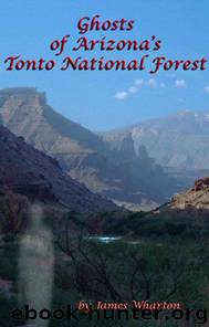 Ghosts of Arizona's Tonto National Forest by James Wharton